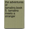 The Adventures of Tamalino.Book 5. Tamalino Meets a Stranger by Hazel Lyth