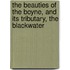The Beauties Of The Boyne, And Its Tributary, The Blackwater