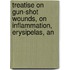 Treatise on Gun-Shot Wounds, on Inflammation, Erysipelas, an