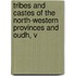 Tribes and Castes of the North-Western Provinces and Oudh, V