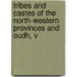 Tribes and Castes of the North-Western Provinces and Oudh, V