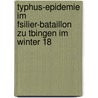 Typhus-Epidemie Im Fsilier-Bataillon Zu Tbingen Im Winter 18 door Hermann Schmidt