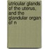 Utricular Glands of the Uterus, and the Glandular Organ of N