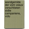 Wandgemlde Der Vom Vesuv Verschtteten Stdte Campaniens, Volu by Wolfgang Helbig