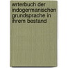 Wrterbuch Der Indogermanischen Grundsprache in Ihrem Bestand door August Fick