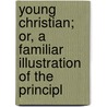Young Christian; Or, a Familiar Illustration of the Principl door Jacob Abbott