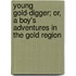 Young Gold-Digger; Or, a Boy's Adventures in the Gold Region