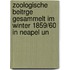 Zoologische Beitrge Gesammelt Im Winter 1859/60 in Neapel Un