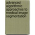 Advanced Algorithmic Approaches to Medical Image Segmentation