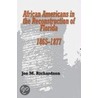African Americans In The Reconstruction Of Florida, 1865-1877 door Joe M. Richardson
