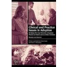 Clinical and Practice Issues in Adoption--Revised and Updated by Victor Groza