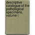 Descriptive Catalogue Of The Pathological Specimens, Volume I