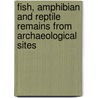 Fish, Amphibian and Reptile Remains from Archaeological Sites door Stanley J. Olsen