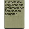 Kurzgefasste Vergleichende Grammatik Der Semitischen Sprachen door Carl Brockelmann