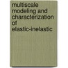 Multiscale Modeling and Characterization of Elastic-Inelastic by S. Ahzi