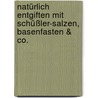 Natürlich entgiften mit Schüßler-Salzen, Basenfasten & Co. door Sabine Wacker