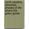 North Carolina Sketches; Phases Of Life Where The Galax Grows by Mary Nelson Carter