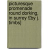 Picturesque Promenade Round Dorking, in Surrey £By J. Timbs] door John Timbs