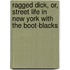 Ragged Dick, Or, Street Life In New York With The Boot-Blacks