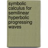 Symbolic Calculus For Semilinear Hyperbolic Progressing Waves door Onbekend