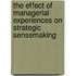The Effect of Managerial Experiences on Strategic Sensemaking