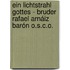Ein Lichtstrahl Gottes - Bruder Rafael Arnáiz Barón O.S.C.O.