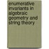 Enumerative Invariants In Algebraic Geometry And String Theory