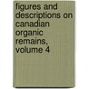 Figures And Descriptions On Canadian Organic Remains, Volume 4 by Unknown