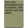 From Dna Photolesions To Mutations, Skin Cancer And Cell Death door Onbekend