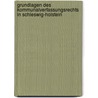 Grundlagen des Kommunalverfassungsrechts in Schleswig-Holstein door Klaus-Dieter Dehn