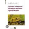 Grundlagen und ­Konzepte Klärungsorientierter Psychotherapie door Rainer Sachse