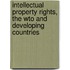 Intellectual Property Rights, the Wto and Developing Countries