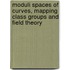 Moduli Spaces Of Curves, Mapping Class Groups And Field Theory