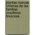 Plantas Nuevas Chilenas De Las Familias Cruciferas Bixaceas ..
