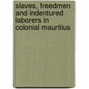 Slaves, Freedmen and Indentured Laborers in Colonial Mauritius door Richard B. Allen