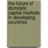 The Future Of Domestic Capital Markets In Developing Countries