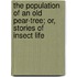 The Population Of An Old Pear-Tree; Or, Stories Of Insect Life