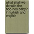 What Shall We Do With The Boo-Hoo Baby? In Turkish And English