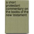A Short Protestant Commentary On The Books Of The New Testament