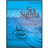 An Introduction To Six Sigma & Process Improvement [with Cdrom]