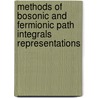 Methods Of Bosonic And Fermionic Path Integrals Representations door Luiz C.L. Botelho