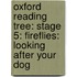 Oxford Reading Tree: Stage 5: Fireflies: Looking After Your Dog