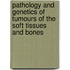 Pathology And Genetics of Tumours of the Soft Tissues And Bones