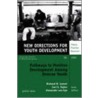 Pathways to Positive Development Among Diverse Youth, Number 95 by Mhs