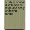 Study of Spatial Distribution of Large and Richly Endowed Tombs door J.J. Castillos