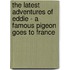 The Latest Adventures Of Eddie - A Famous Pigeon Goes To France