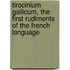 Tirocinium Gallicum, The First Rudiments Of The French Language