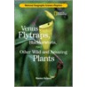 Venus Flytraps, Bladderworts, and Other Wild and Amazing Plants door Monica Halpern
