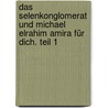 Das Selenkonglomerat und Michael Elrahim Amira für Dich. Teil 1 by Michael Weber