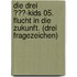 Die drei ???-Kids 05. Flucht in die Zukunft. (drei Fragezeichen)